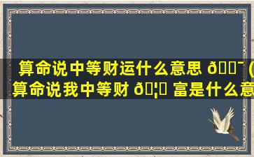 算命说中等财运什么意思 🐯 (算命说我中等财 🦆 富是什么意思)